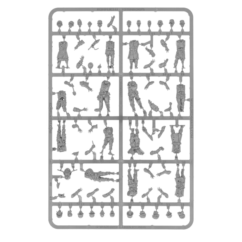 Totenrotte Starter Army