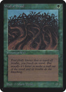 Wall of Wood [Limited Edition Alpha]
