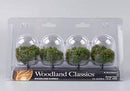 Woodland Classics - Orange Trees