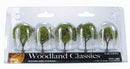 Woodland Classics - Early light